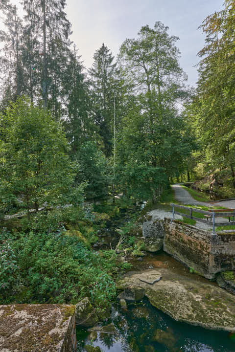 Gemeinde Waldkirchen Landkreis Freyung-Grafenau Saußbachklamm (Dirschl Johann) Deutschland FRG